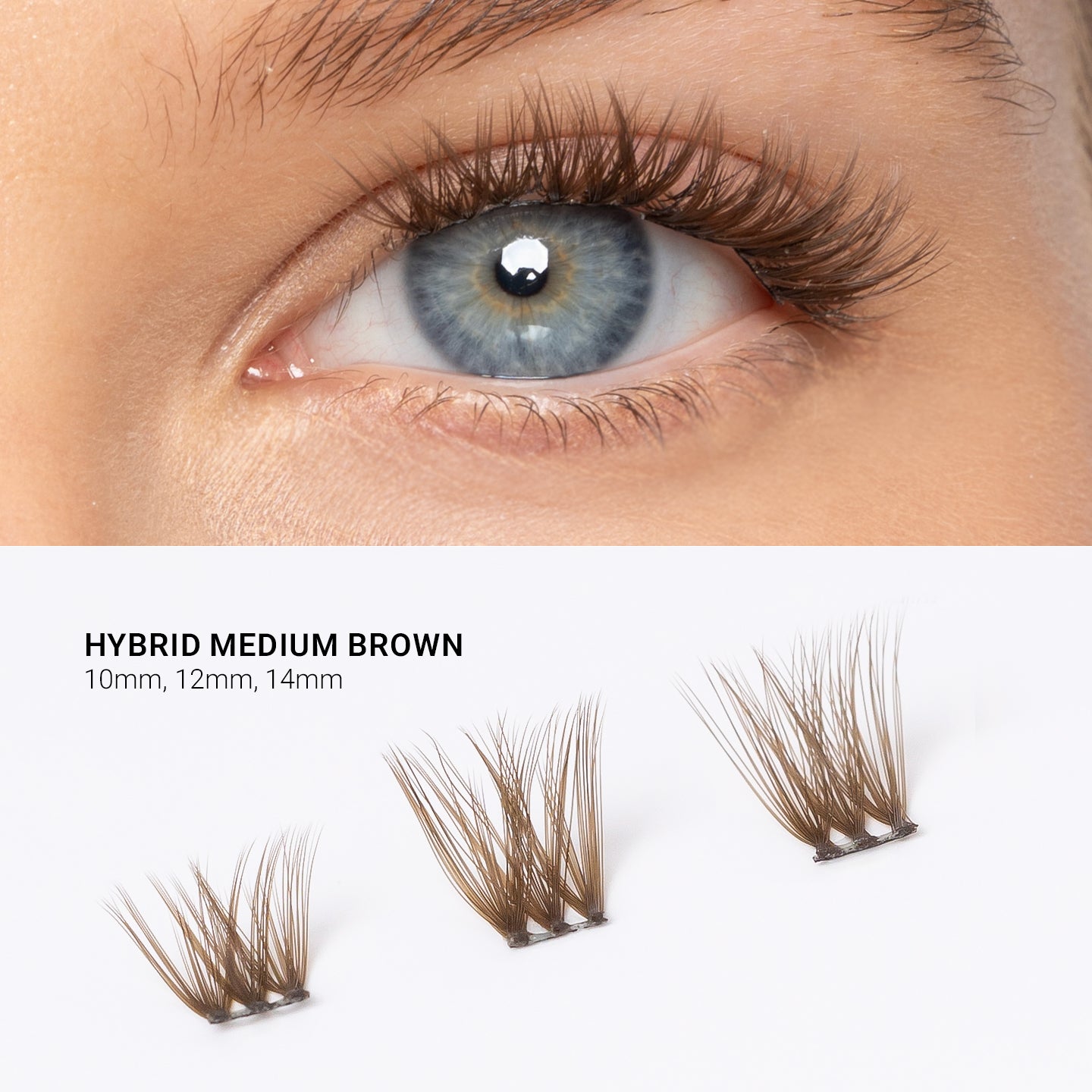 Extended Lash Starter Kit