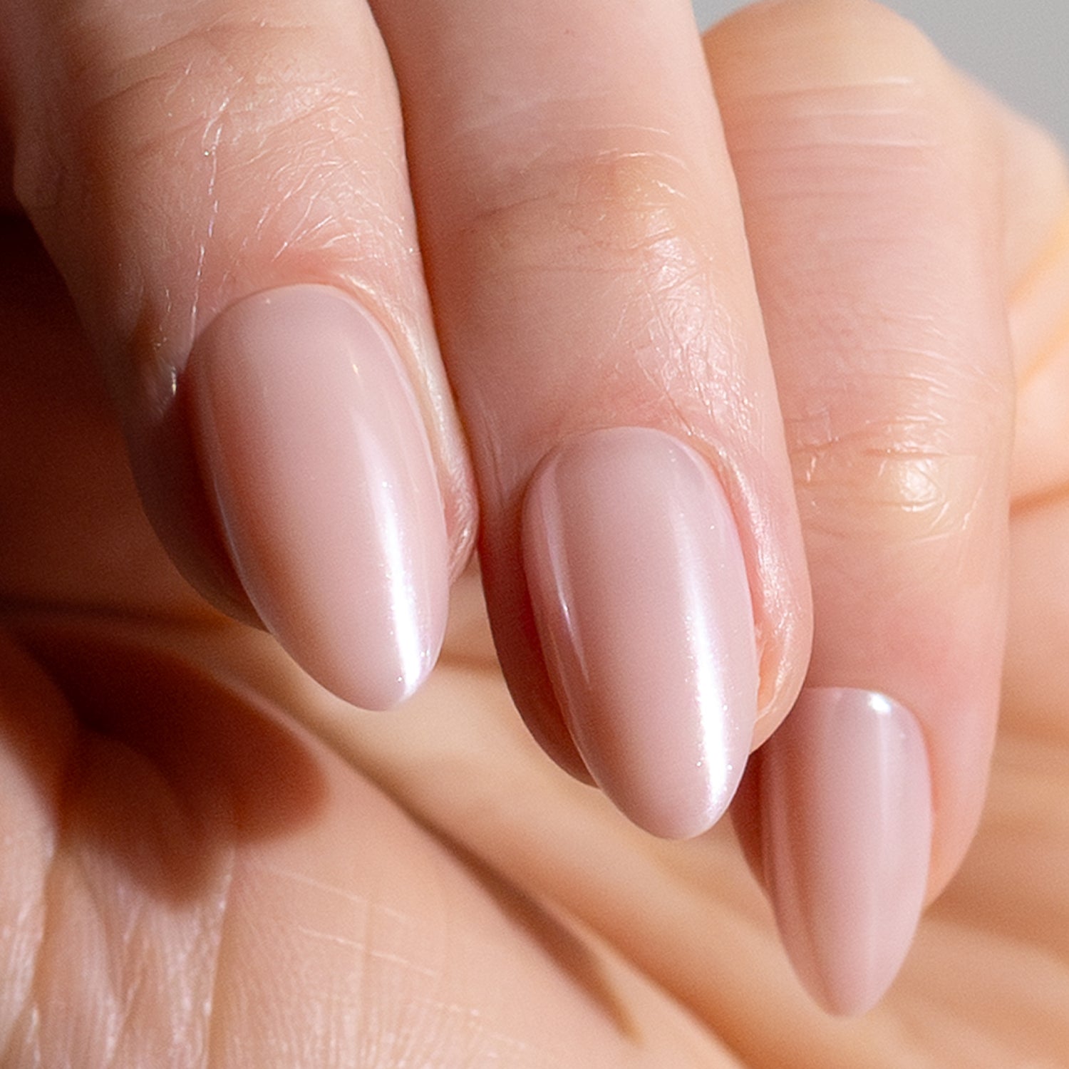 Glazed Donut (Medium)