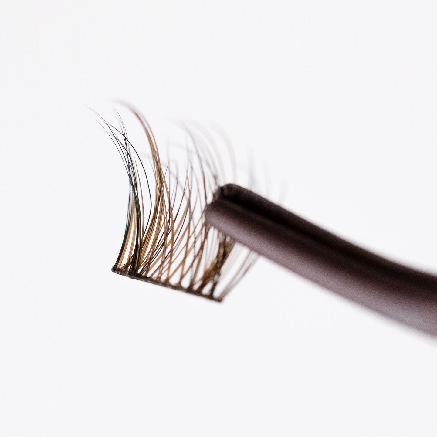 Daydream (Brown/Black)