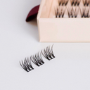 eyelashvsextended