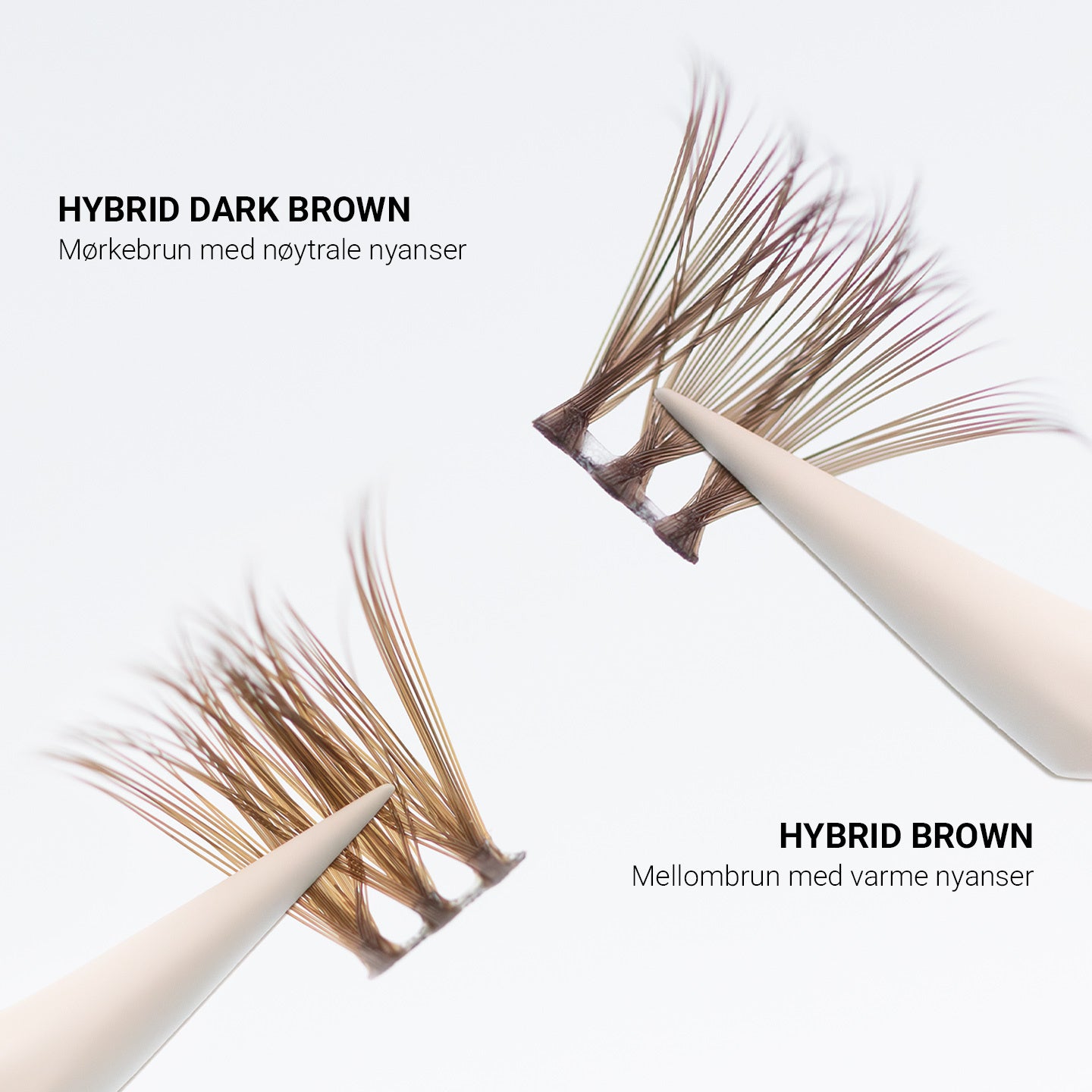 Hybrid Dark Brown