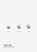 Lovely Wisp, lengdeoversikt